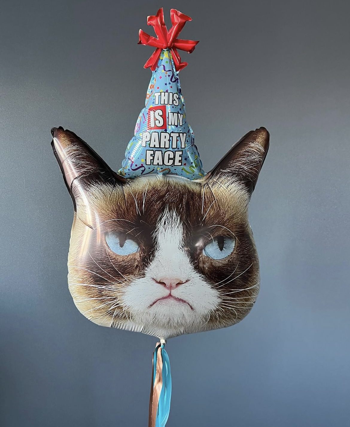 Недовольный кот в колпаке